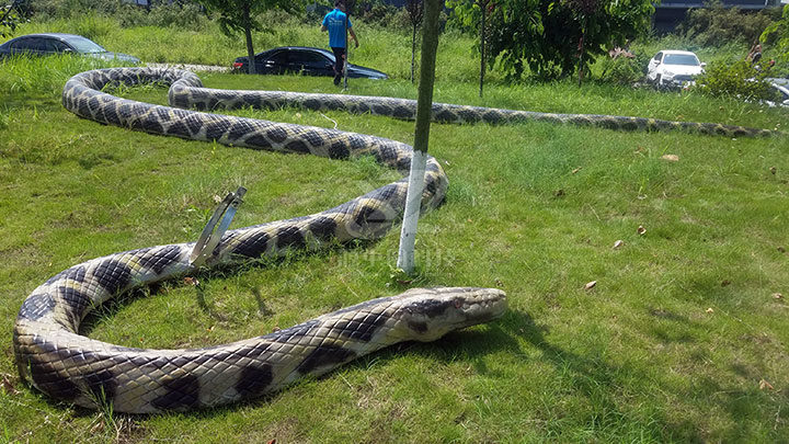 仿真動物在城市公園和市區(qū)街頭的裝飾效果